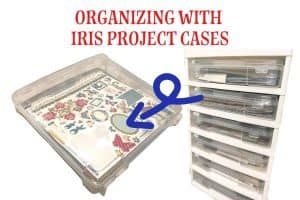 Organizing with Iris Project Cases