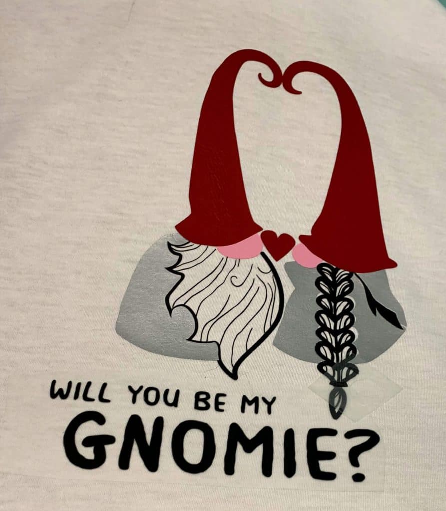 Will You Be My Gnomie