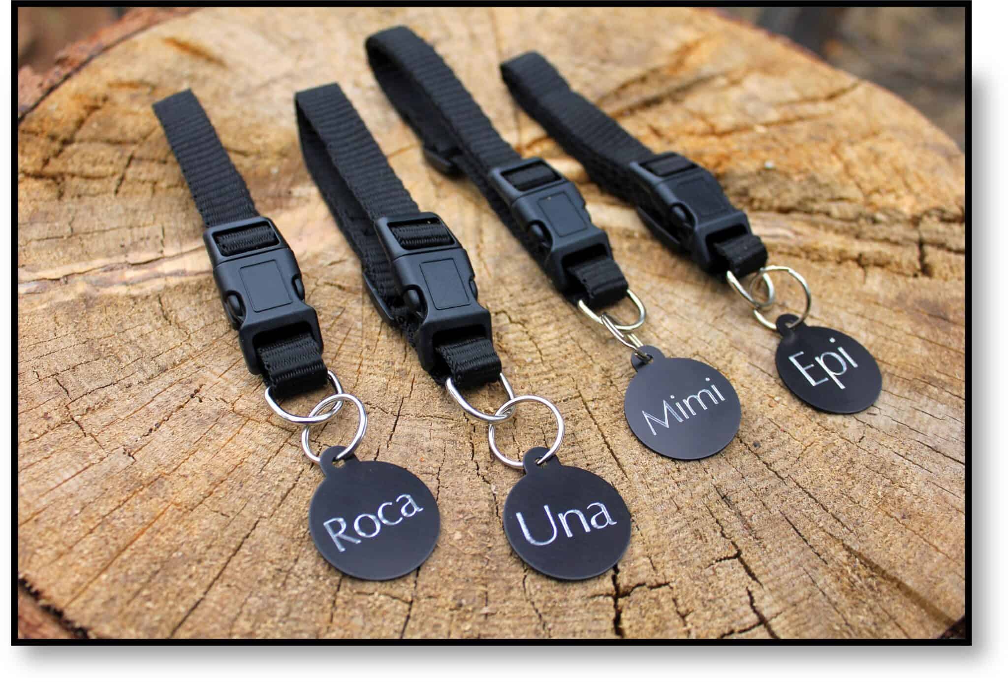 Engraved Stainless Steel Dog Collars Adding Personalized Magic to Your